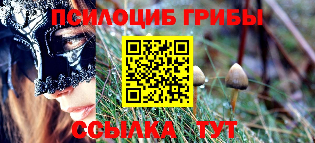 Галлюциногенные грибы Psilocybe  Вход с VPN  Калуга 