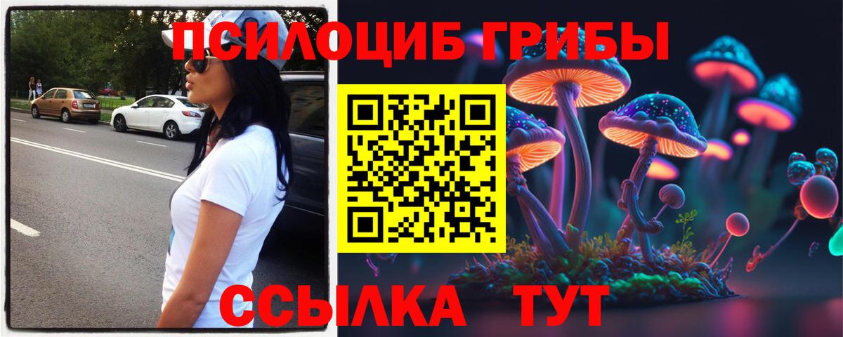 Псилоцибиновые грибы Psilocybe Калуга